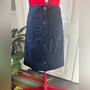 Button down Navy blue skirt